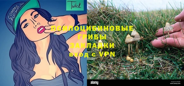 спиды Алзамай