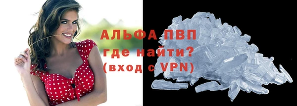 шишки Алексин