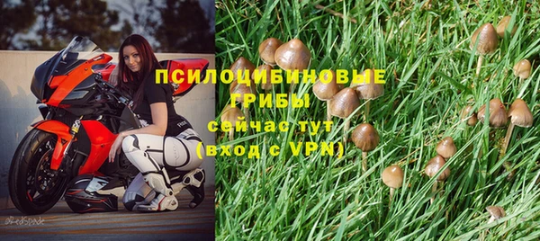 спиды Алзамай