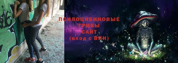 спиды Алзамай