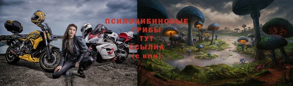 спиды Алзамай