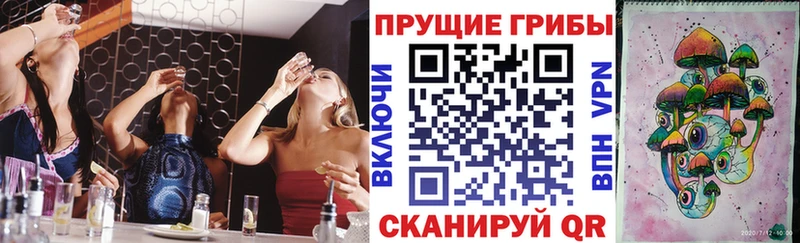 Галлюциногенные грибы Psilocybe  сколько стоит  кракен сайт  Апатиты 